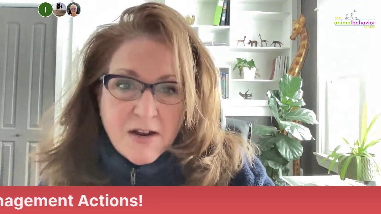 Coffee with the Critters - Time Management Actions!