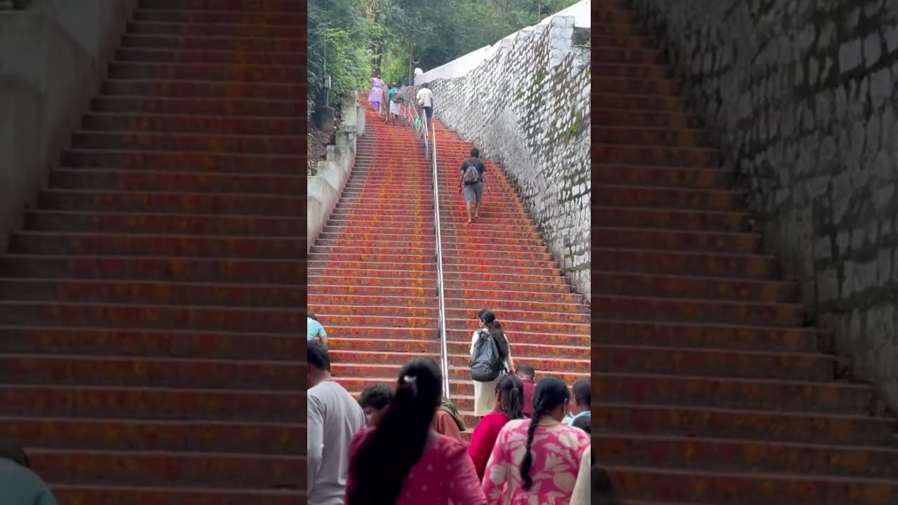 TIRUMALA Tour By Walk 🙏 ALIPIRI METTLU #tirumala #tirupati #tirumalabalaji #venkateswaraswami
