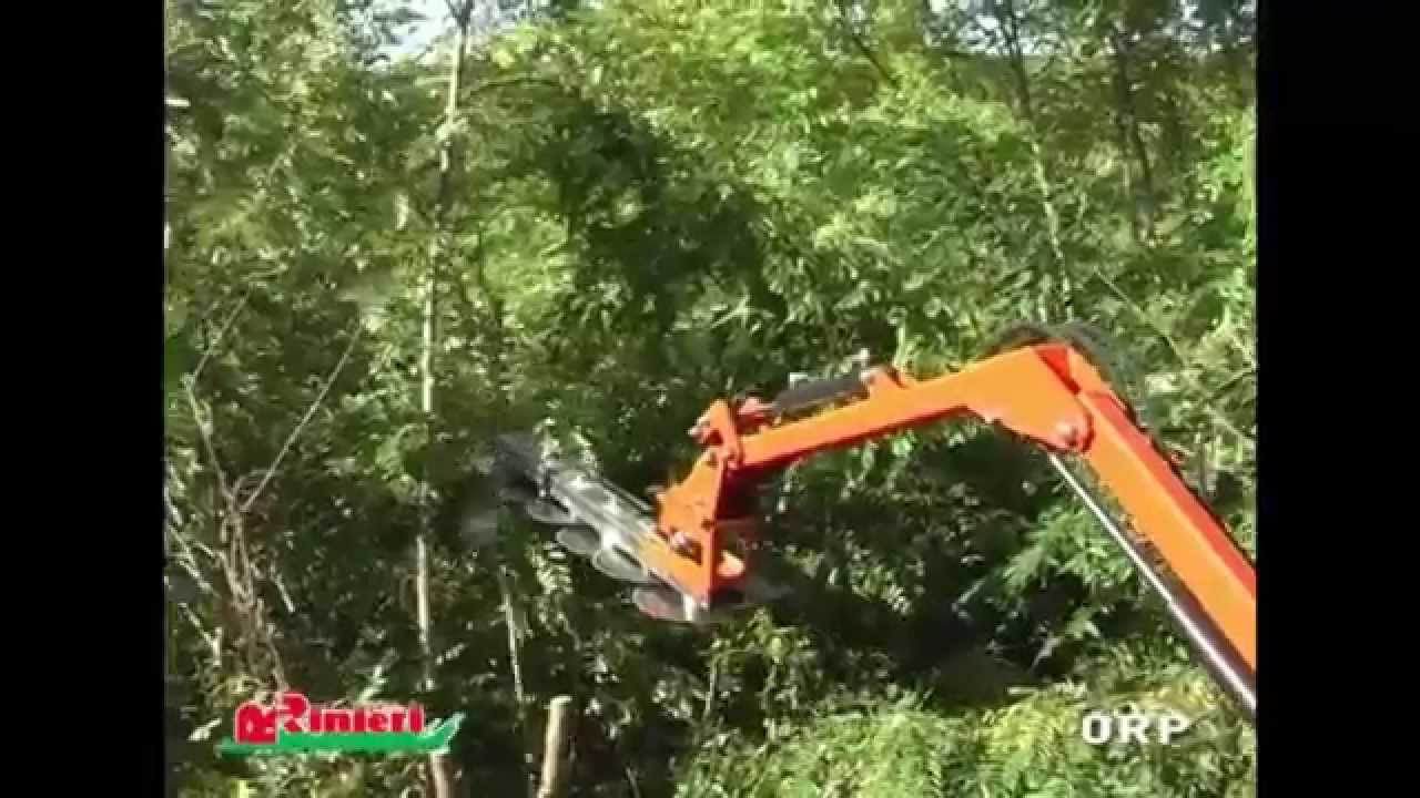 Bush cutter Braccio decespugliatore BRV Rinieri 2015