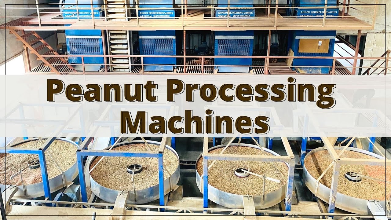Peanut Processing Machine
