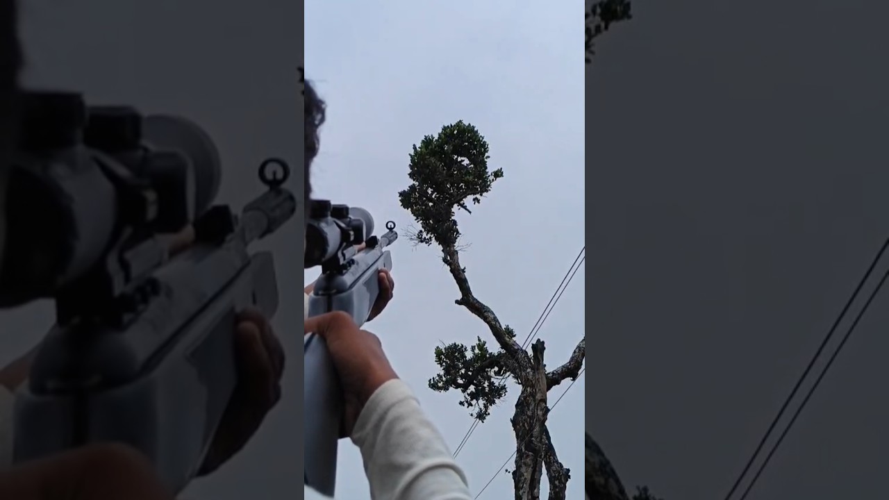 Shooting with pellet gun #pelletguns #trending #airgunhunting #viralvideo