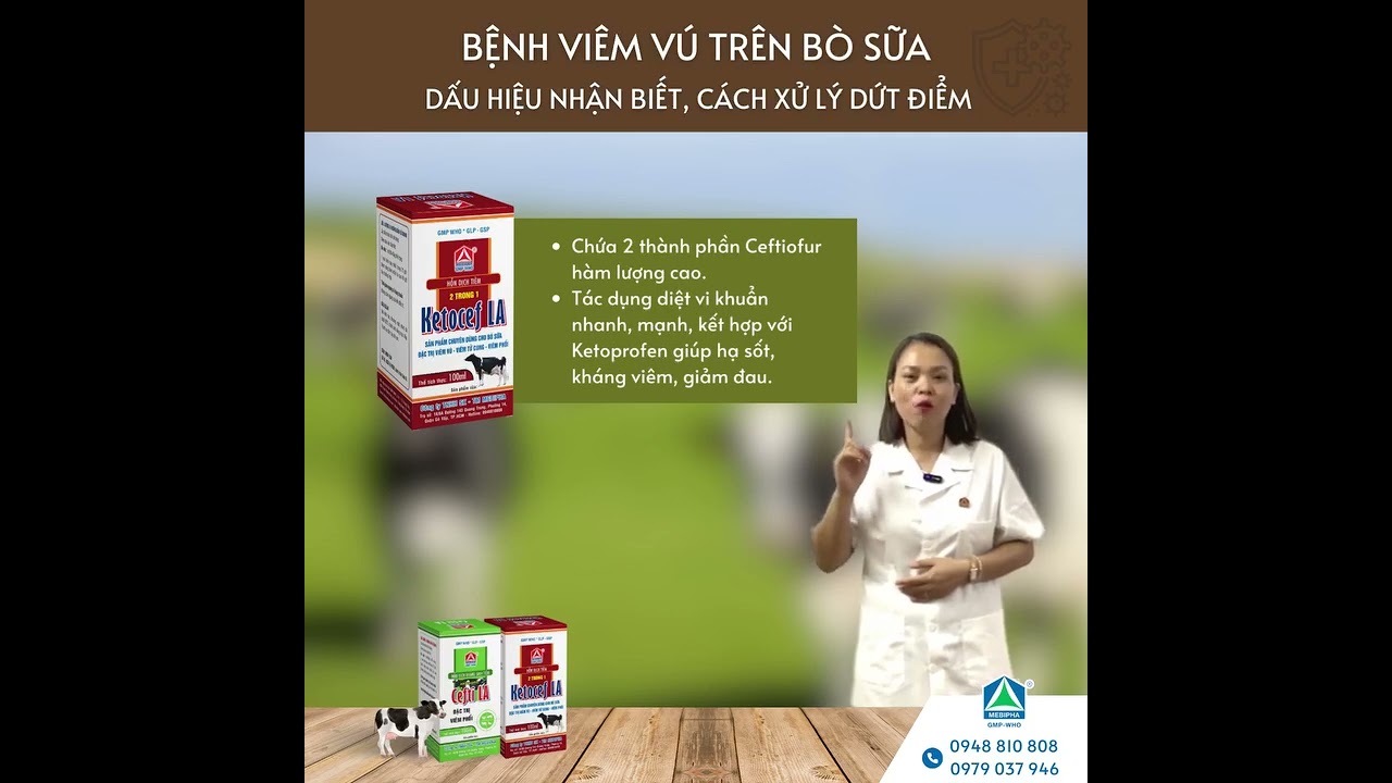ĐIỀU TRỊ BỆNH VI&Ecirc;M V&Uacute; B&Ograve; SỮA