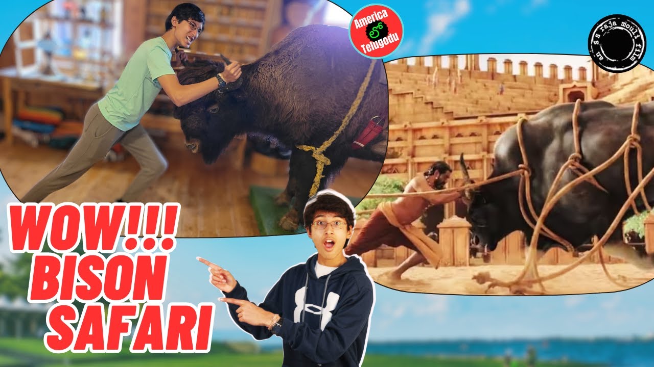 🐂USA BAAHUBALI Bison🐂Telugu Vlogs🐂