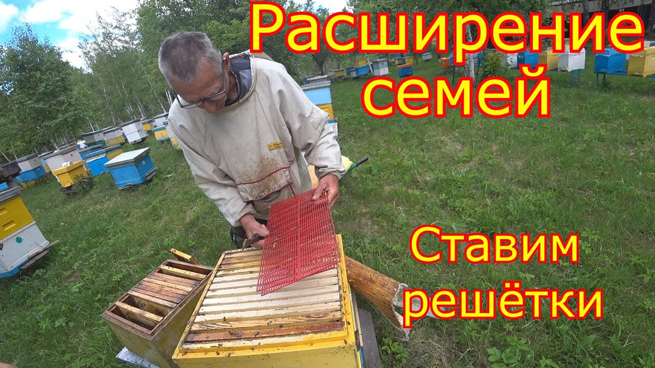 Расширение семей. Ставим вторые корпуса.Ставим решётки!