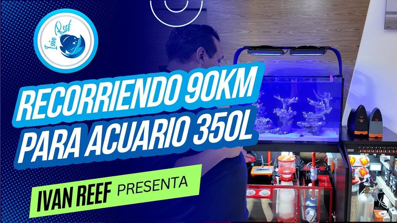 Asi recorrimos 90KM para MONTAR un acuario MARINO de 350L en menos de 24HRS