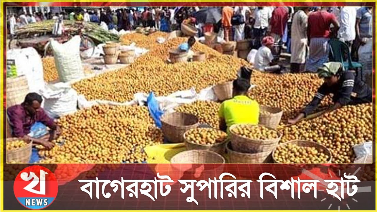 সুপারির হাট | বাগেরহাট | বাগেরহাট সুপারির হাট | latest news | news update-২০২৩