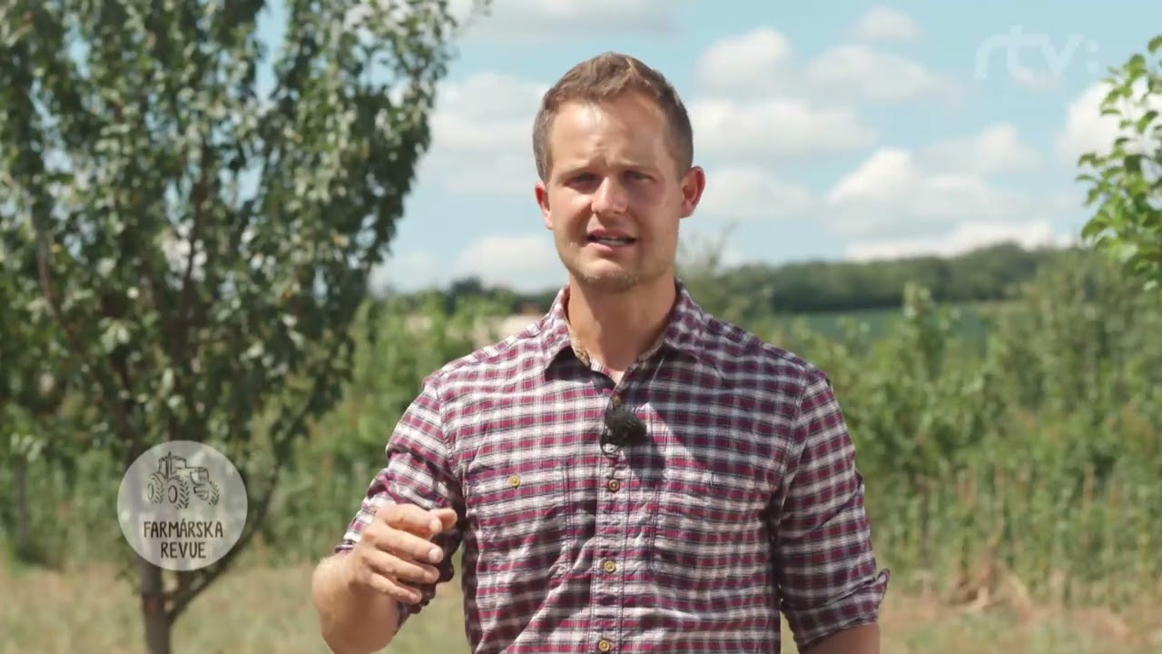 Listáreň s Vaššom -  zelené hnojenie, časť 1