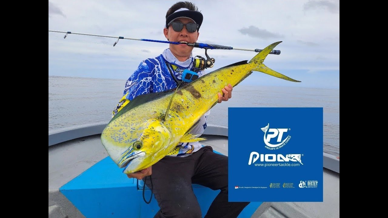 PIONEER TACKLE FIELD TEST 2025 | Two pelagics destroy brand new budget reel #light #jigging #tackle