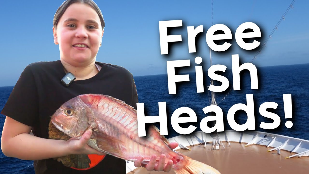 Don’t toss those fish heads, the eyes are the best part!