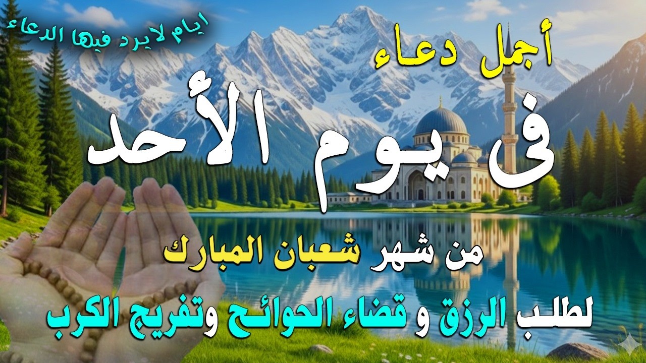 دعاء علاء عقيل فى يوما الاحد 27 من شهر شعبان للرزق والشفاء العاجل وقضاء الحوائج