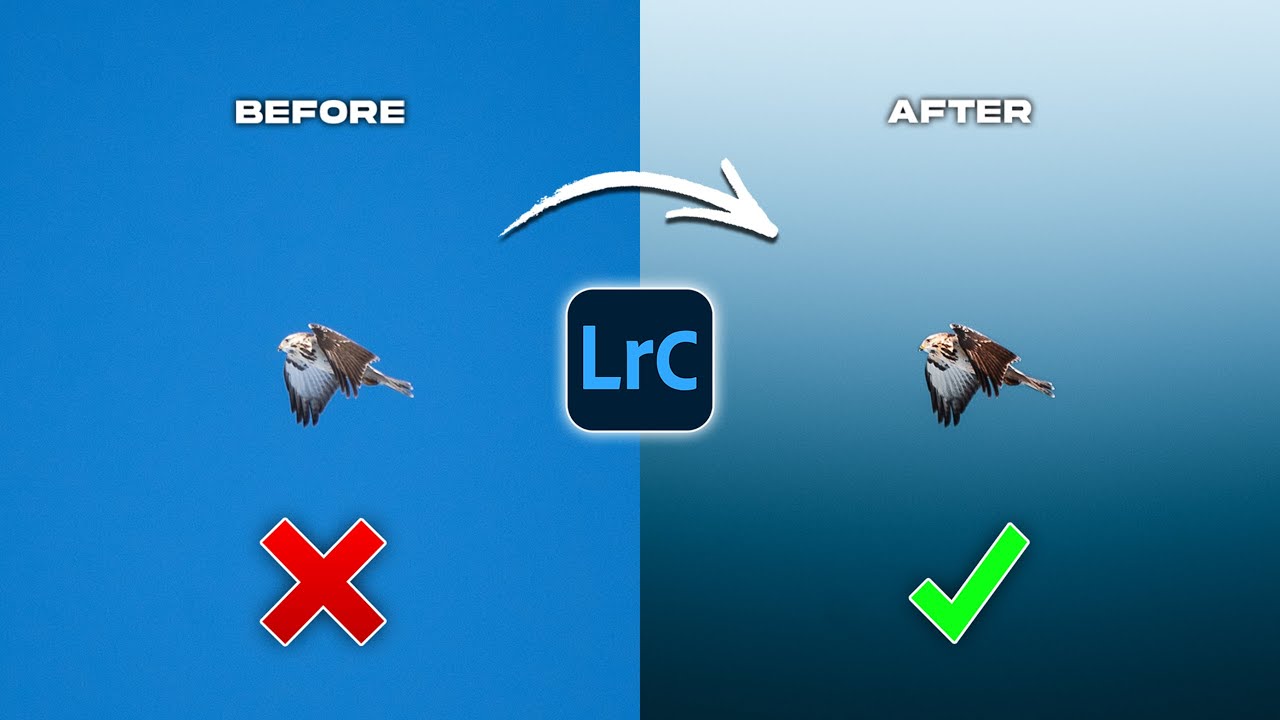 7 простых советов по работе с Lightroom, которые поднимут качество ваших снимков на новый уровень.
