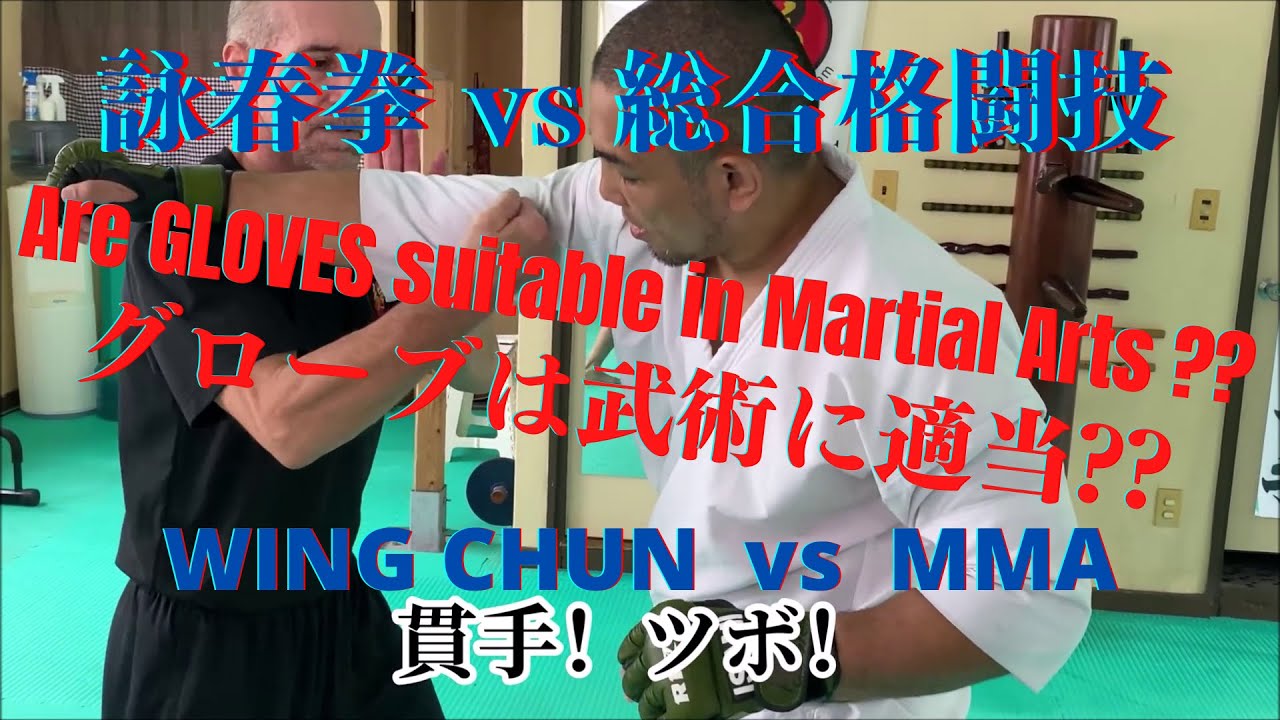 WING CHUN sv MMA FIGHTER
