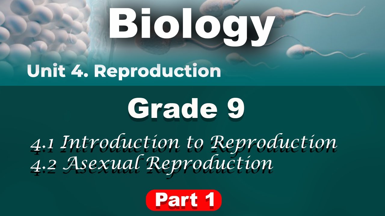 Garde 9 Biology unit 4 part 1 | Reproduction | የ9ኛ ክፍል ባዮሎጂ ምዕራፍ 4 ክፍል 1