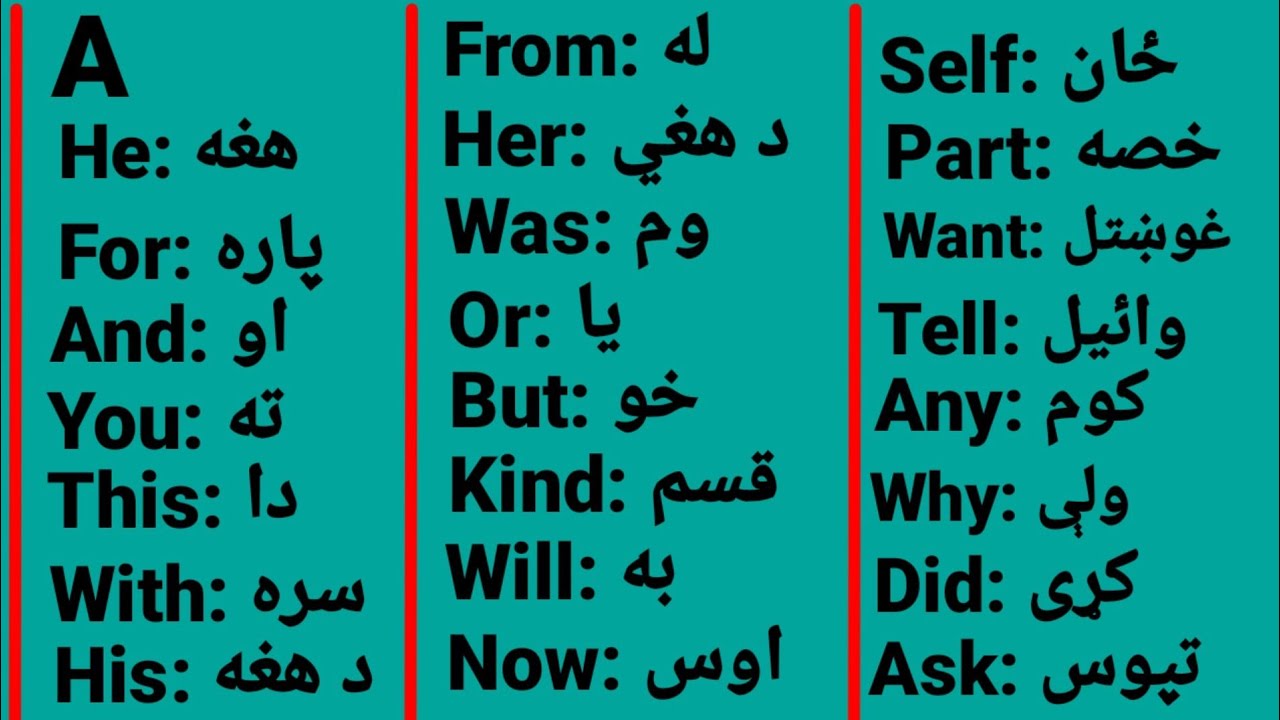 (Class number65) English basic words used With (Kashif Momand)