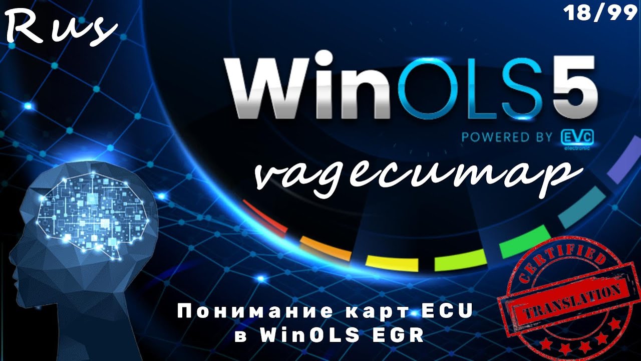 Понимание карт ECU в WinOLS: EGR vagecumap rus перевод 18.99  обучение WinOLS на русском