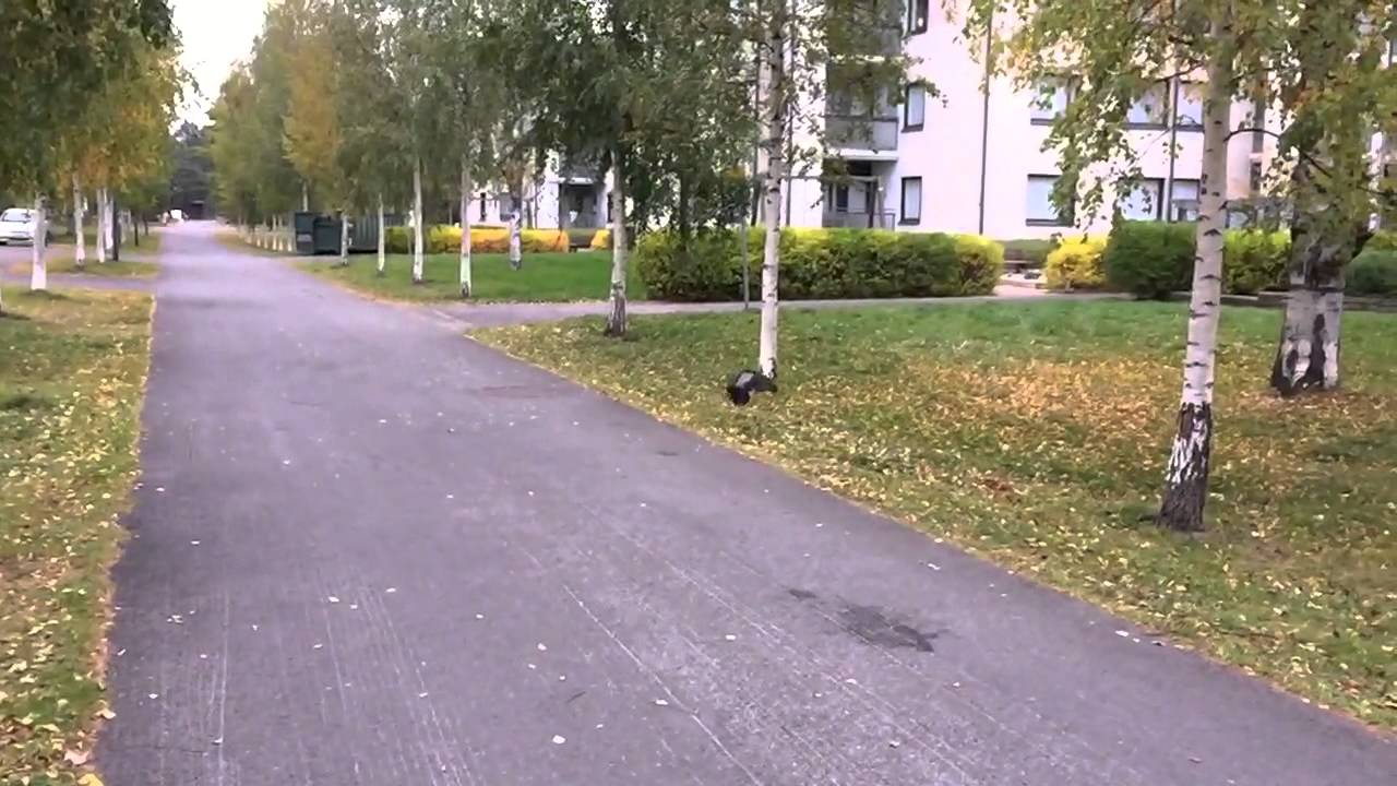 iPhone 6 240fps slow motion example