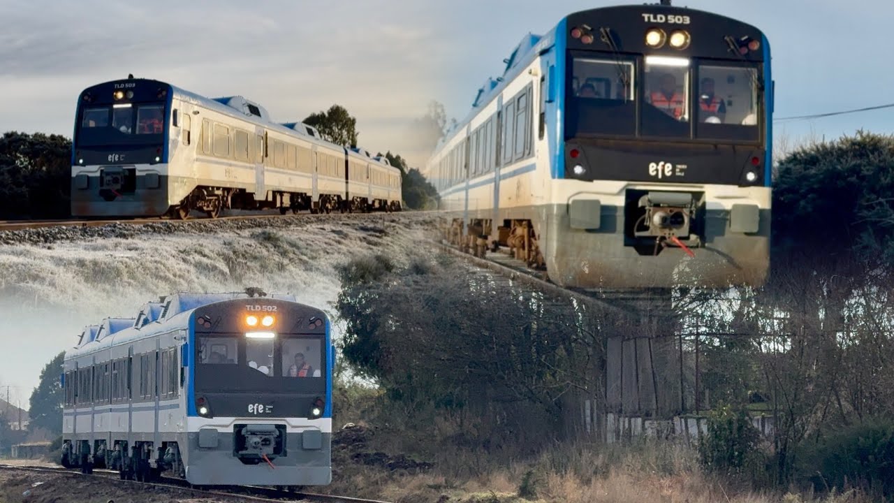TLD-502 y 503, entre La Paloma y Alerce