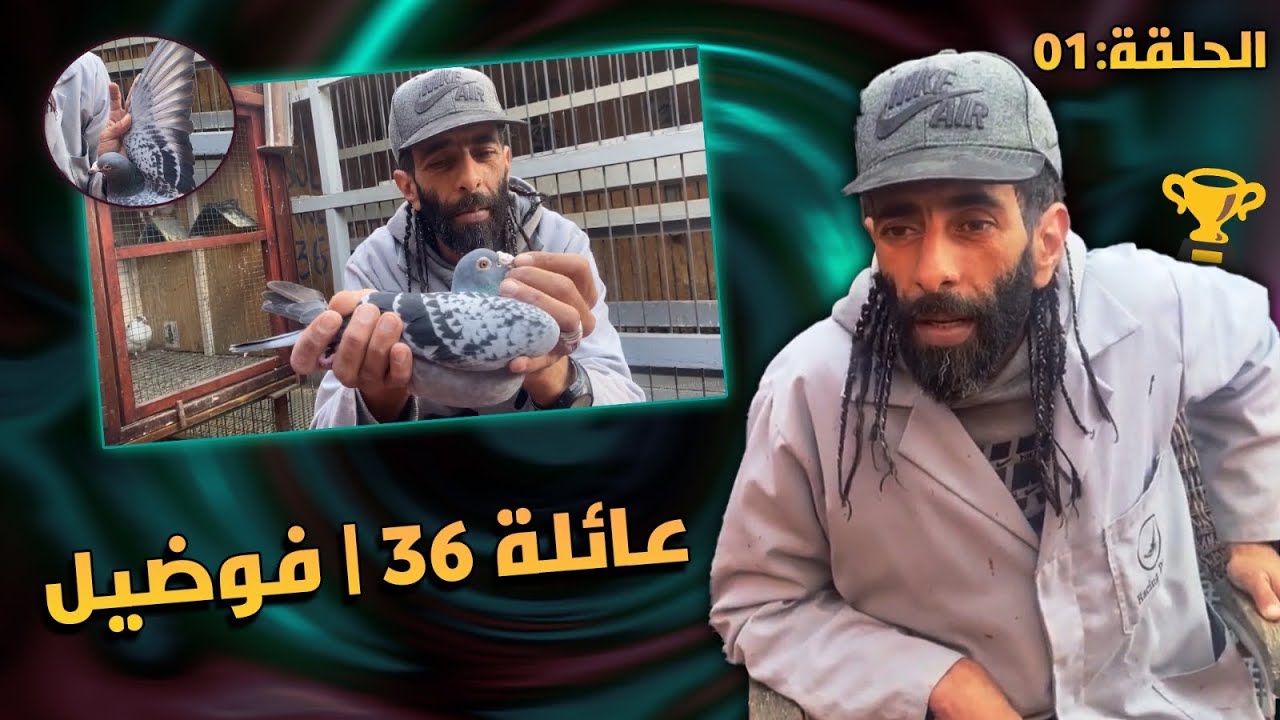 الحلقة 1 : سلسلة التعريف بالسلالات🥇🏆 مع الطونديم المرعب👈🏻 عائلة 36 | فوضيل🧨💥