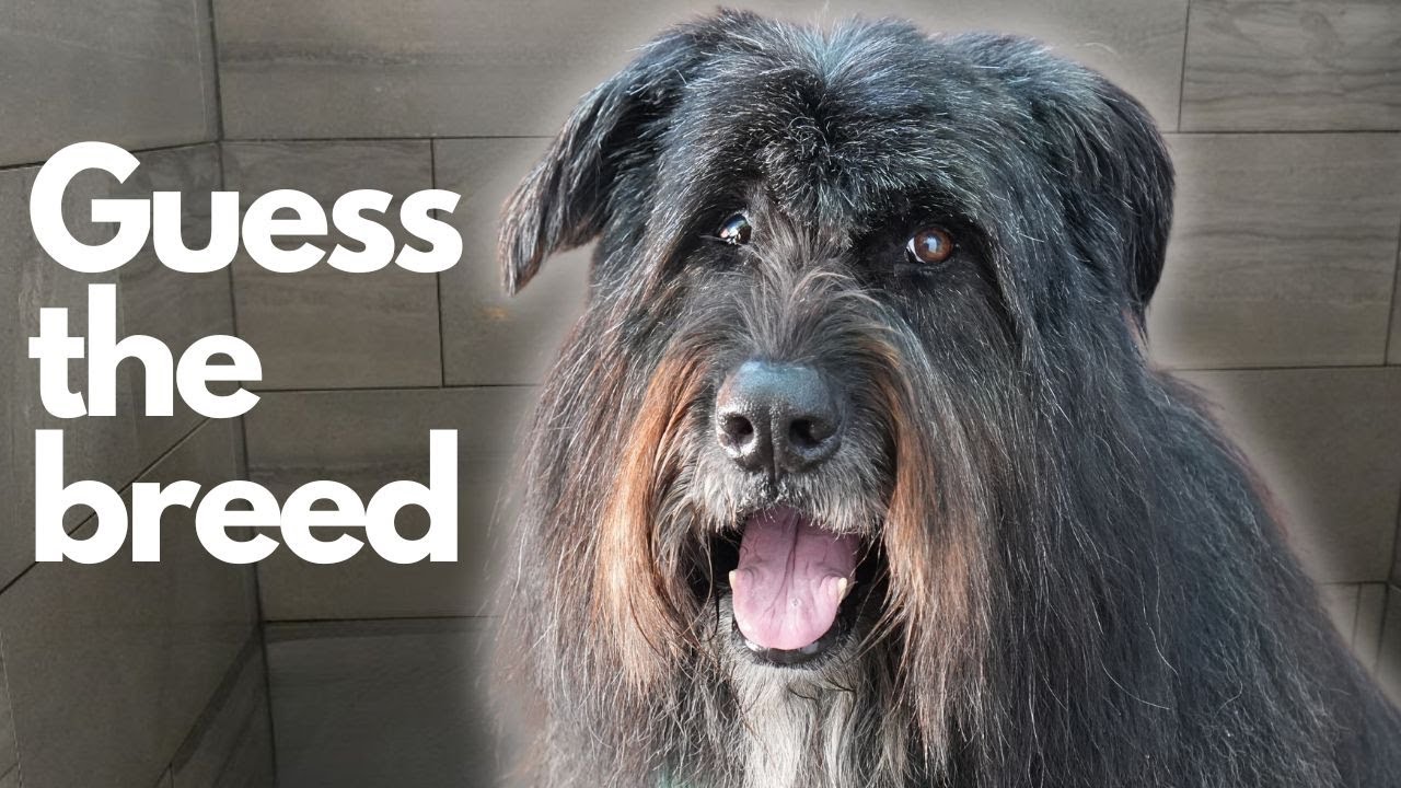 Who is responsible for this?