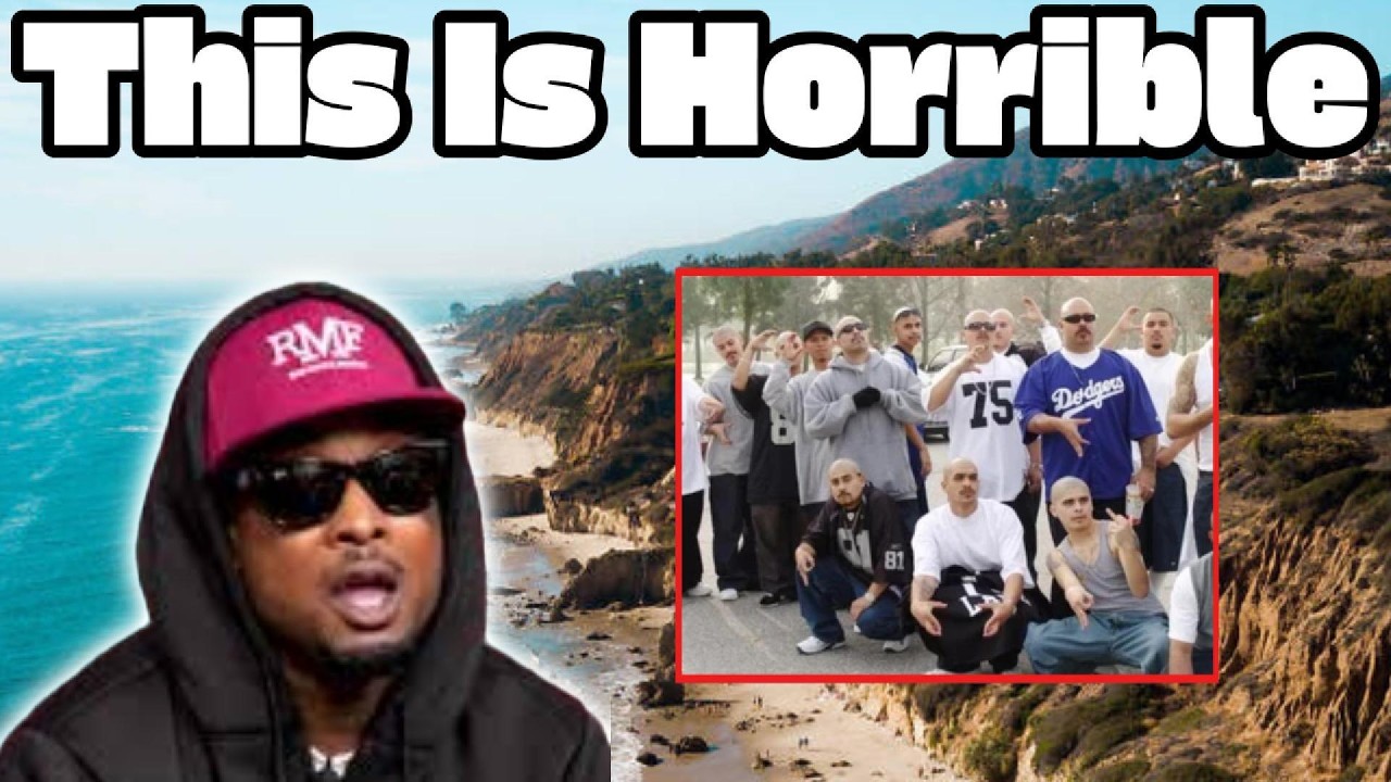 Gang Member Disrespects Mexicans:They Are Afraid Of Blacks