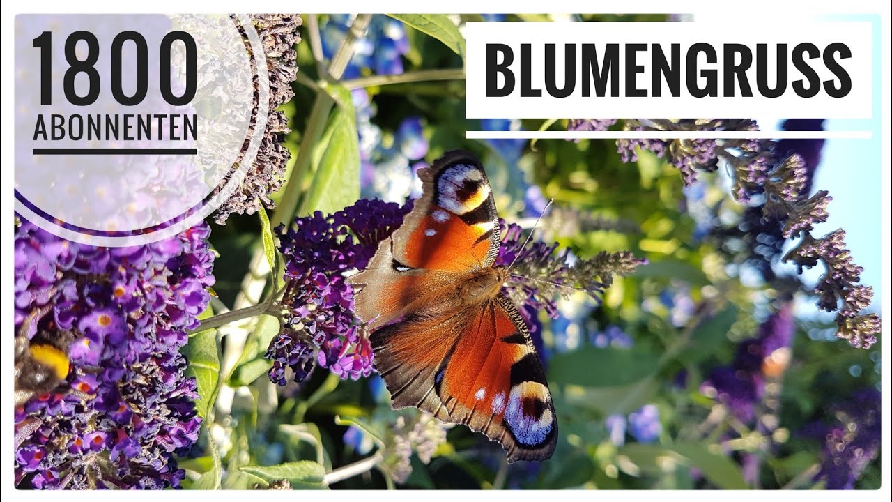 Blumengru&szlig; - sch&ouml;n dass es dich gibt! (1800 Abonnenten) - dakrela DIY
