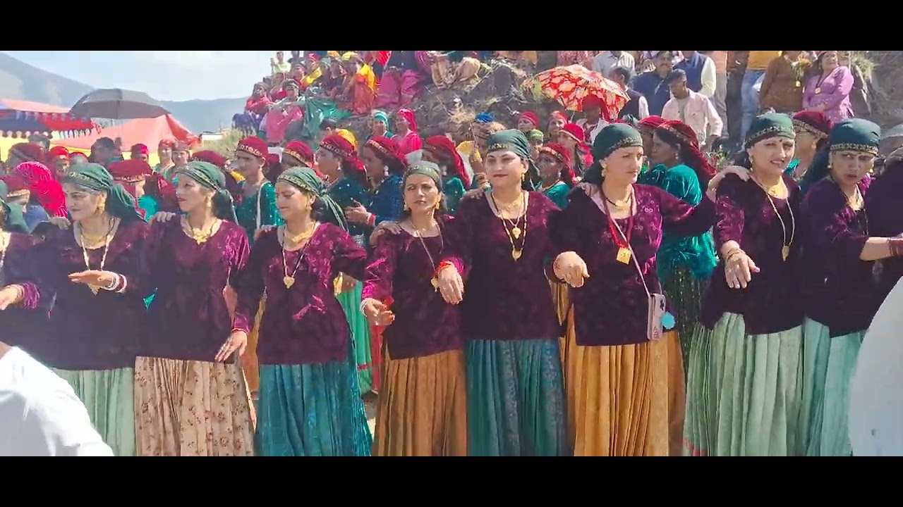 Kota pachi me jbardst dansh dekna na bhule