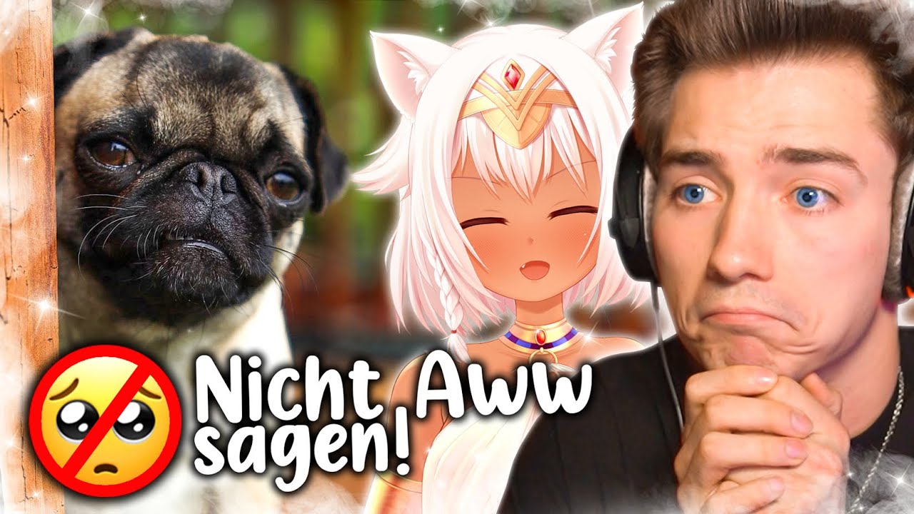 Die CUTESTEN TIERE der WELT! | (nicht aww sagen!!!)