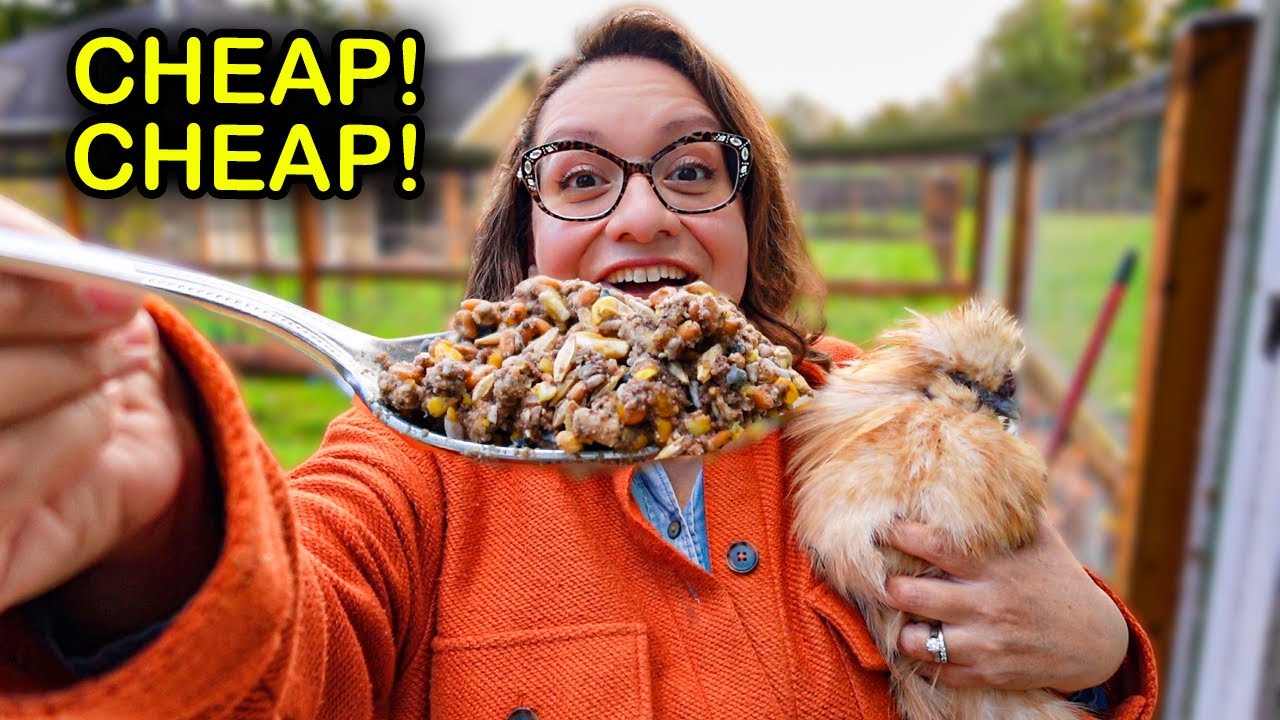 These CHEAP and FREE Foods Keep Chickens Healthy in WINTER!