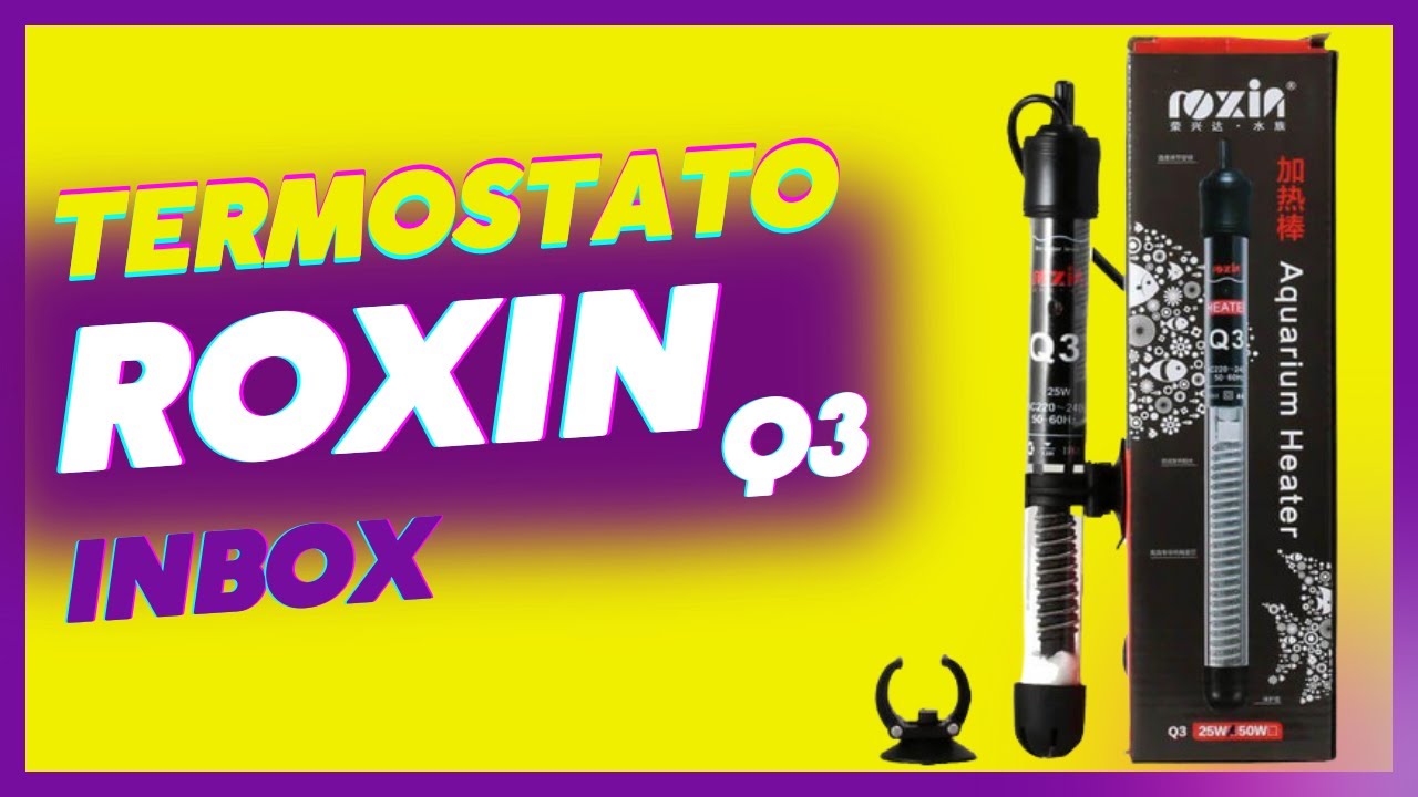 Termostato ROXIN Q3 | Conheça Mais