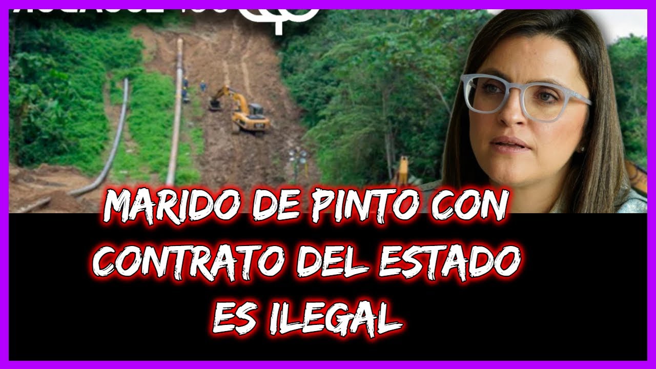 Marido de Pinto con contrato del estado es ilegal