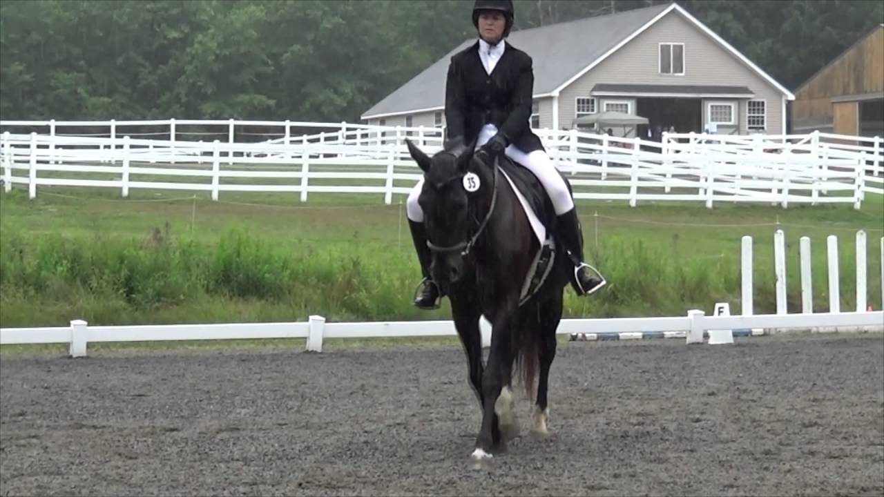 Shira & Persy @ MRF Dressage