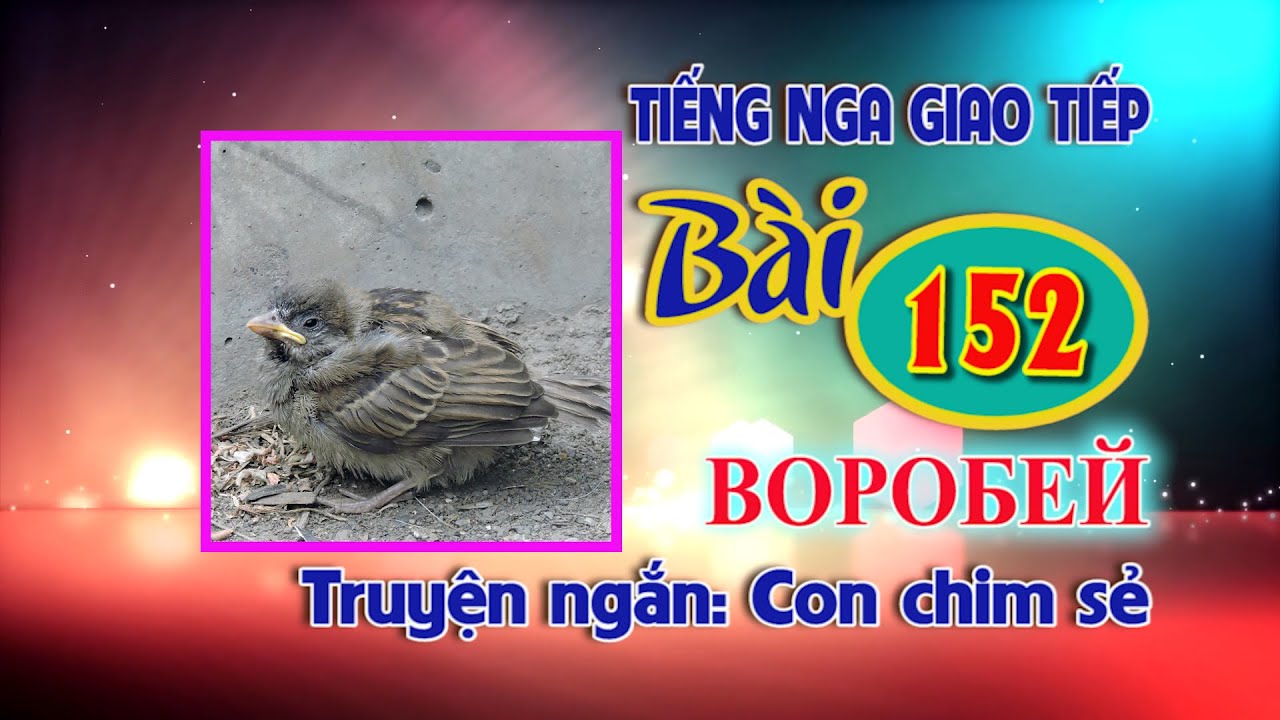 ✿ Bài 152: Truyện ngắn Con chim sẻ ✿ Học Tiếng Nga cơ bản