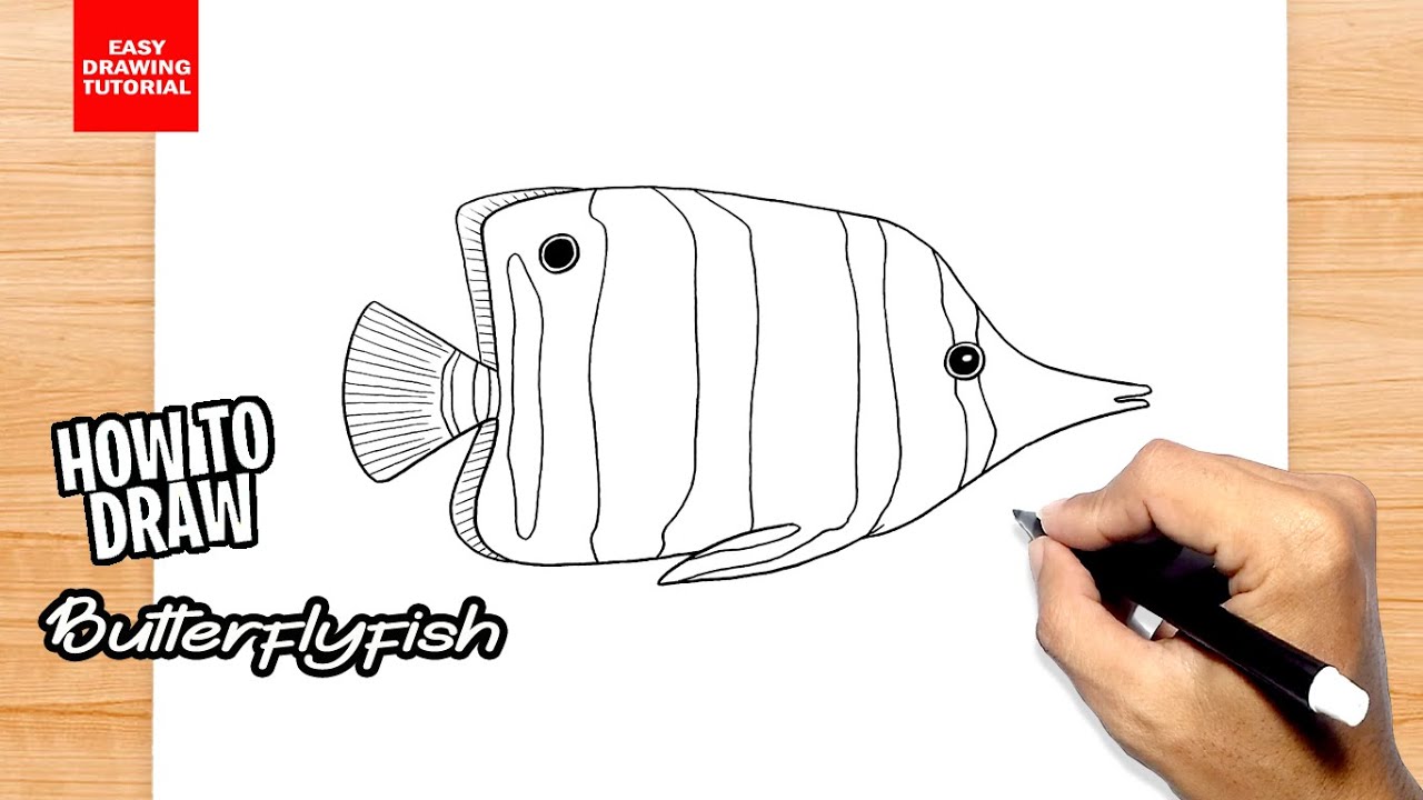 How to draw Butterfly Fish