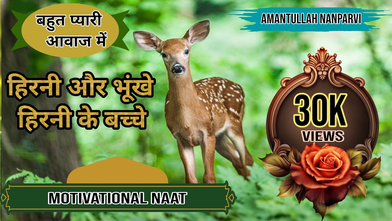 हिरनी वाली नात | hirni naat|Amantullah Nanparvi|Natiya Mushayara Dhurha kheri2021/DKA Mushaira Media