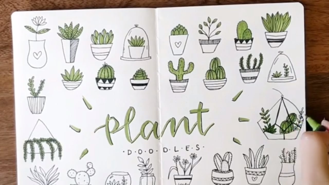 Potted Plant/ Succulent Doodle Ideas | Doodle With Me