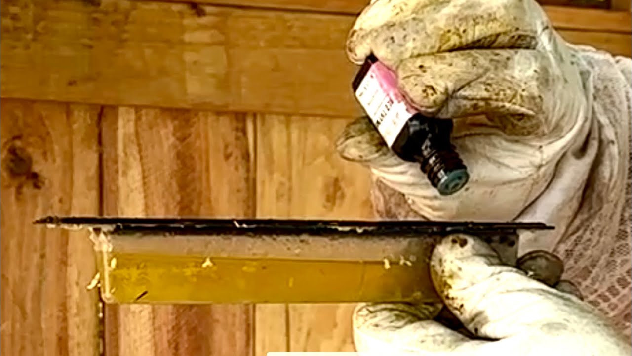 Treating Varroa Mites With Red Thyme Oil ~Secrets Method ~ How To Start Bee Keeping
