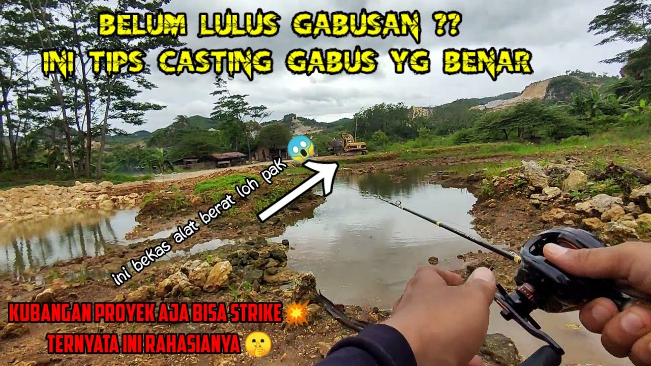 Pemula Auto STRIKE ✅ Cara Mancing Ikan Gabus yg Benar - Tips, Trik, Umpan & Spot Casting Channa