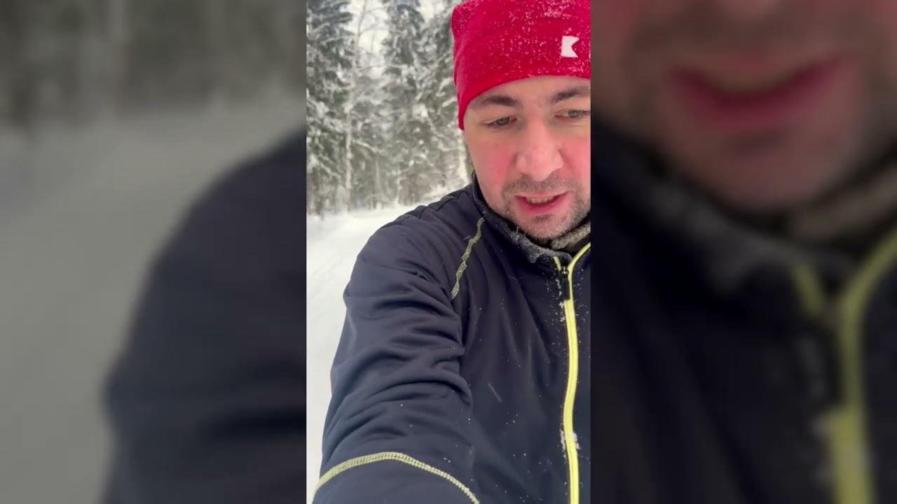 На лыжах с собакой