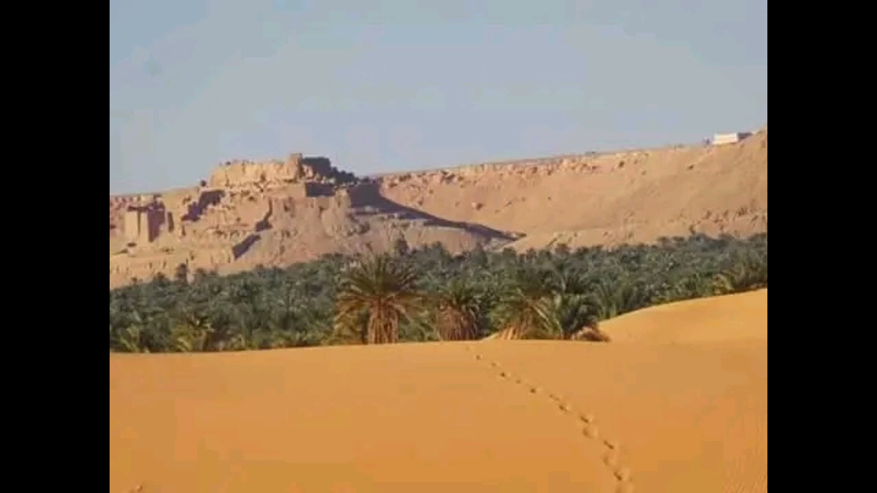 علا البشاري يعزف على ألة البانجو