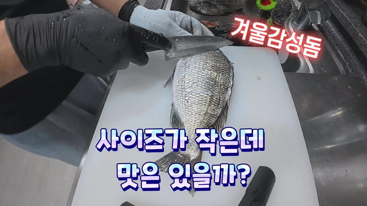 이번엔 부산 영도 이글호 
