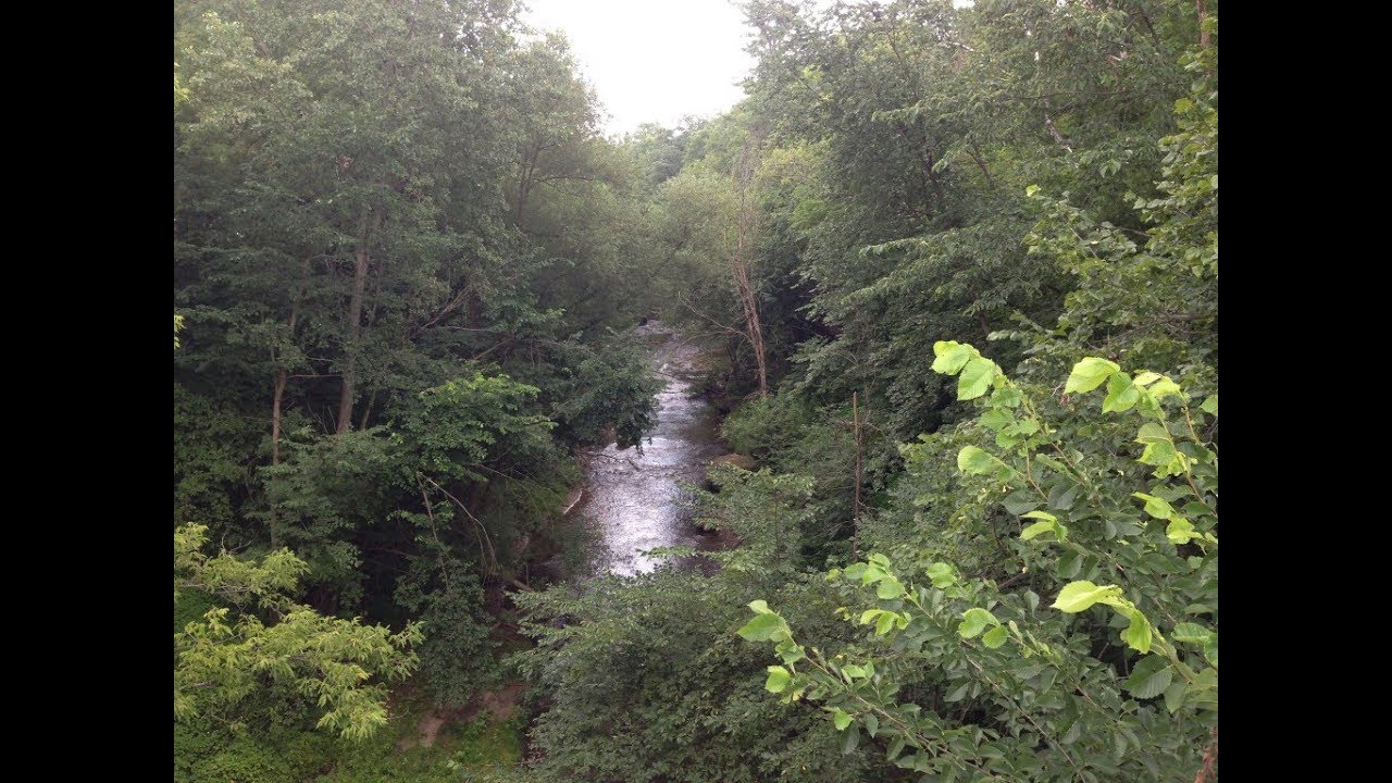 River Falls: City on the Kinni