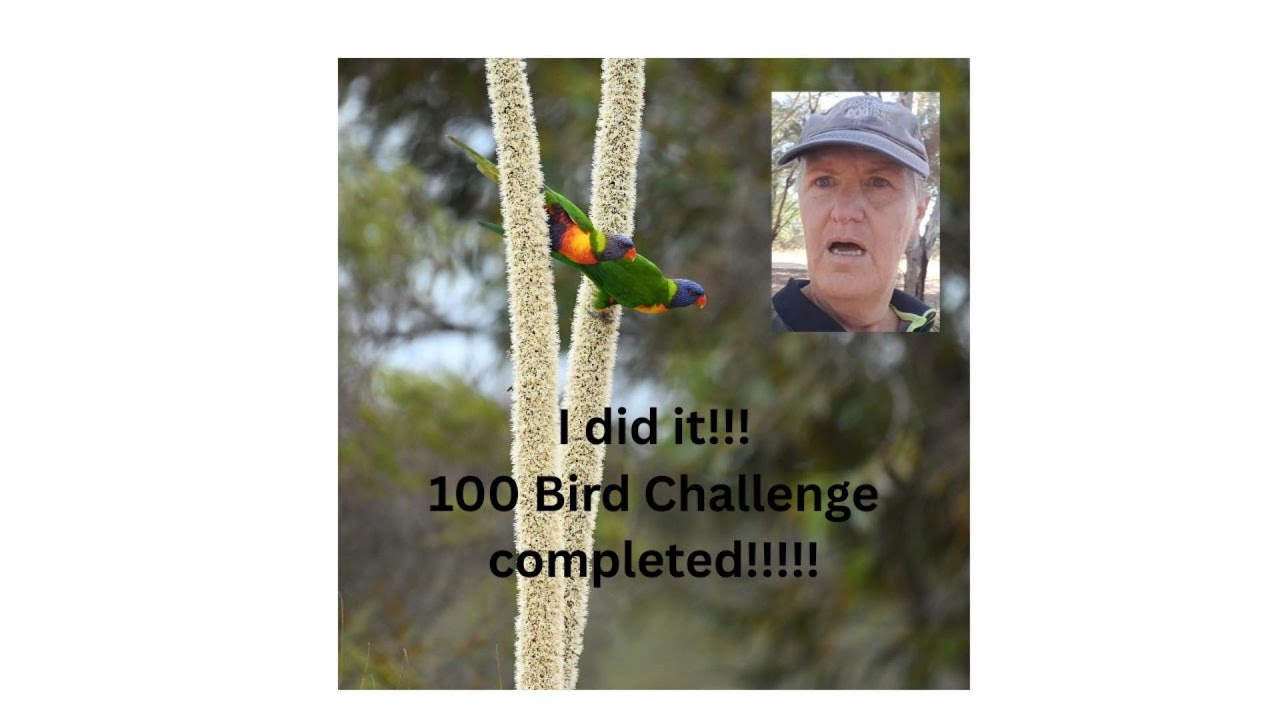 100 Bird Challenge complete!!!!!