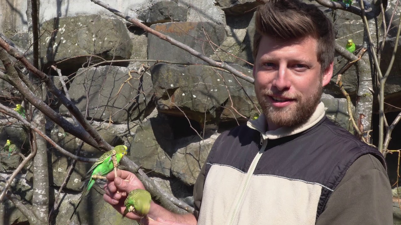 Vögel – die Herrscher der Lüfte. Das Vogelrevier des Walter Zoos.