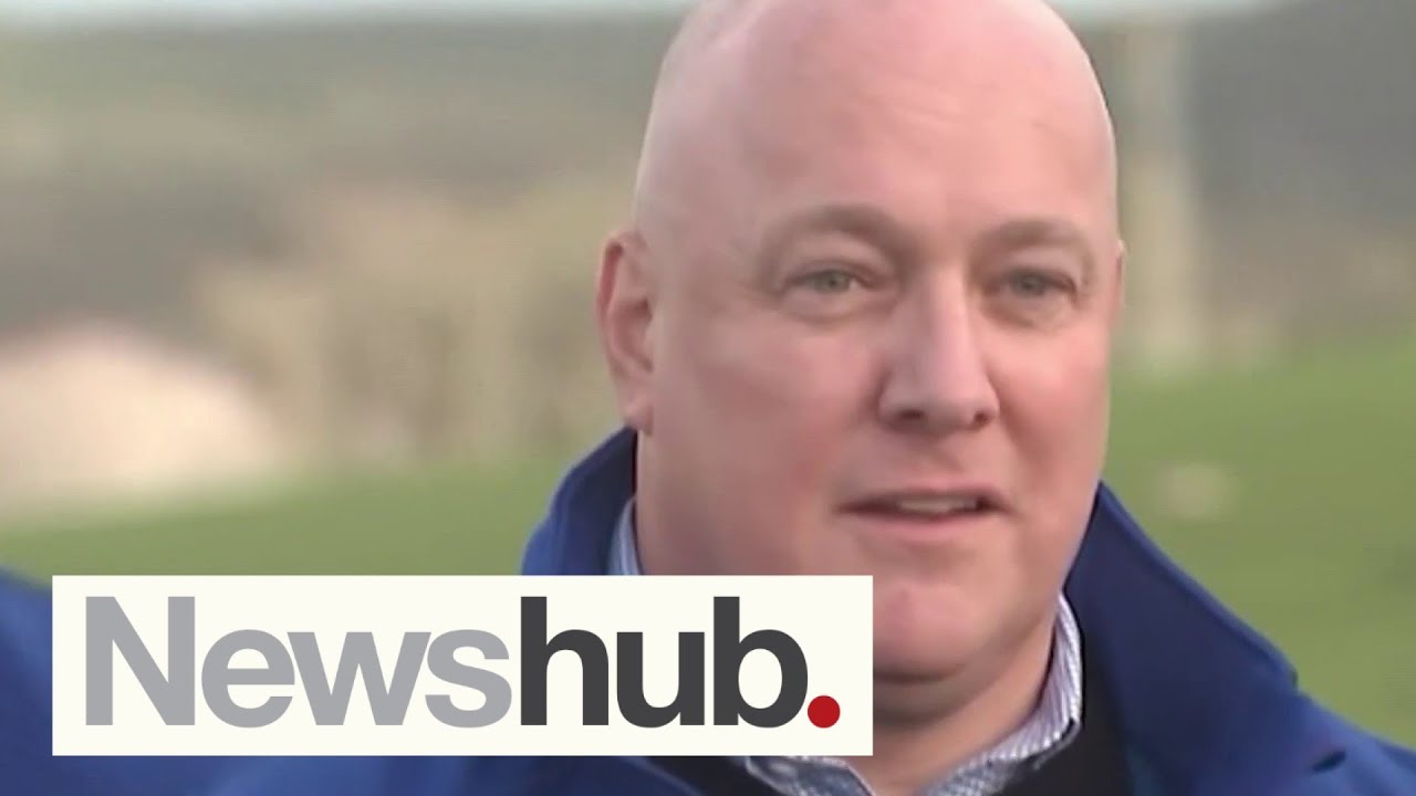 'Very negative, wet, whiny': National leader Christopher Luxon says NZ has 'lost the plot' | Newshub