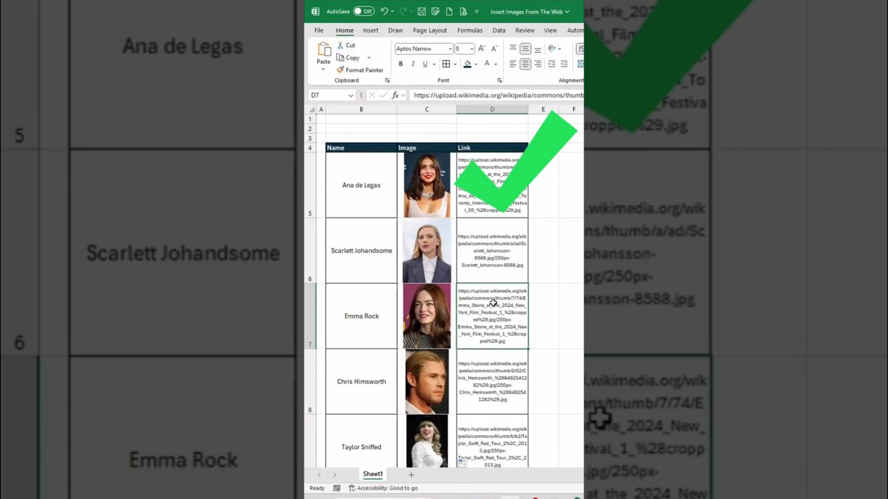 How to Insert Picture from Links in MS Excel 2025 | Insert Online Image Automatically in Excel