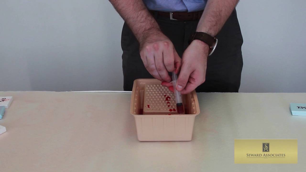 XPS VS EPS: Water Permeability Test