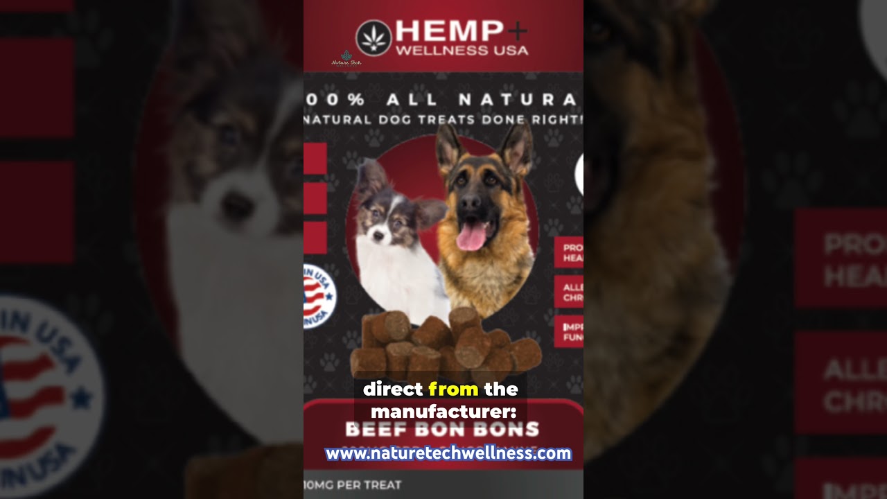 Does your pet panic when you travel? There’s a calmer way to support them.