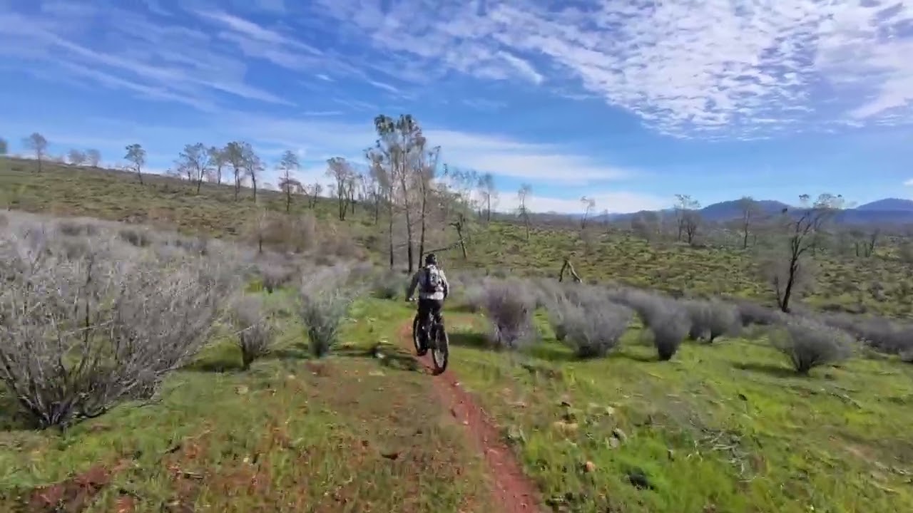 NICE DAY AT REDHILLS