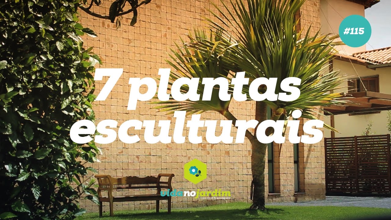 7 plantas esculturais para seu jardim