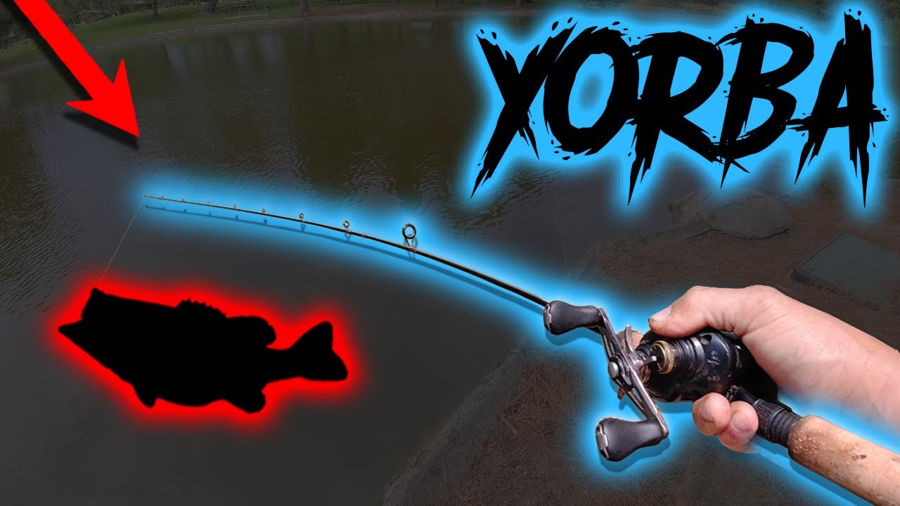 Ограничение басов на фестивале Yorba Regional!